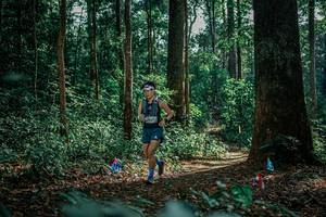 BIB: 
                            <button type="button" onclick="openModal(26133938)" class="btn btn-primary btn-sm float-right btn-popup" data-toggle="modal" data-target=".modal-high-quality">
                        <i class="fas fa-shopping-cart"></i> Add to Cart
                    </button>
                                            <button type="button" onclick="isThisMe(26133938, true)" class="btn btn-success btn-sm float-right btn-popup btn-isme hidden" data-toggle="tooltip" data-placement="bottom" title="นี่คือรูปของคุณใช่ไหม คลิกที่นี่เพื่อเอาเข้าอัลบั้ม">
                        <i class="fas fa-plus"></i> Add to album
                    </button>
                    <button type="button" onclick="isThisMe(26133938, false)" class="btn btn-warning btn-sm float-right btn-popup btn-isnotme hidden">
                        <i class="fas fa-ban"></i> Remove from album
                    </button>